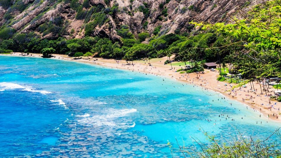 Oahu Circle Island Tour - Best Spots & Beaches - North Shore drive: waves, viewpoints, and turtle-beach energy