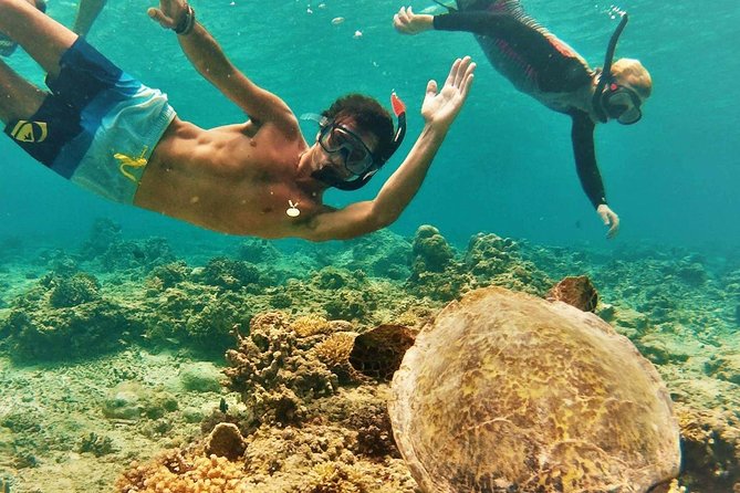 Oahu Circle Island Tour with Turtle Snorkeling— Small-Groups - Diamond Head to Halona: Fast Stops, Big Views