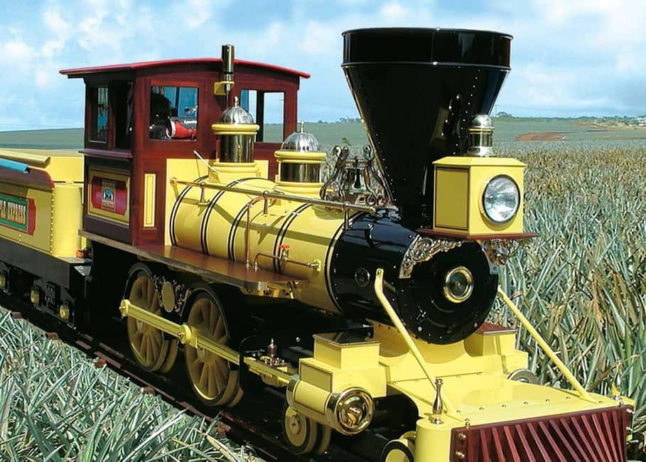 Oahu: Dole Plantation & Haleiwa Express Deluxe Tour - Key points worth planning around