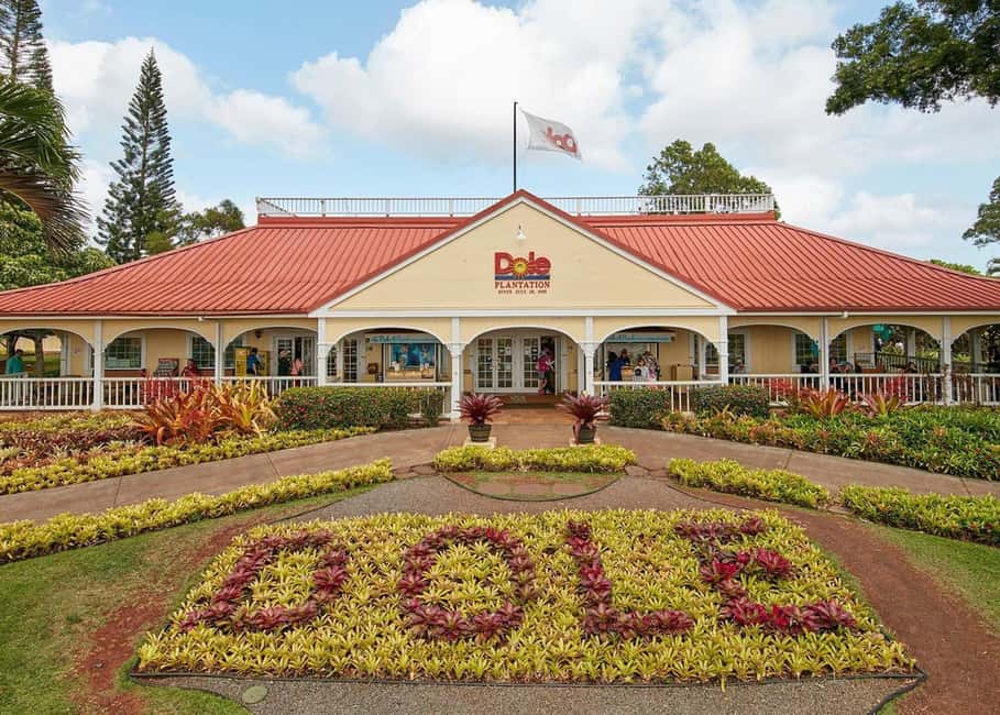 Oahu: Dole Plantation & Haleiwa Express Deluxe Tour - Why this Oahu North Shore day feels easier than going solo
