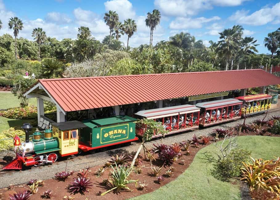 Oahu: Dole Plantation & Haleiwa Express Deluxe Tour - Country store stops and that Dole soft-serve moment