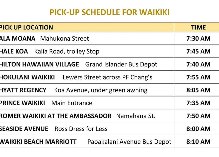Oahu: Dole Plantation & Haleiwa Express Deluxe Tour - Guide quality: the difference between a ride and a tour