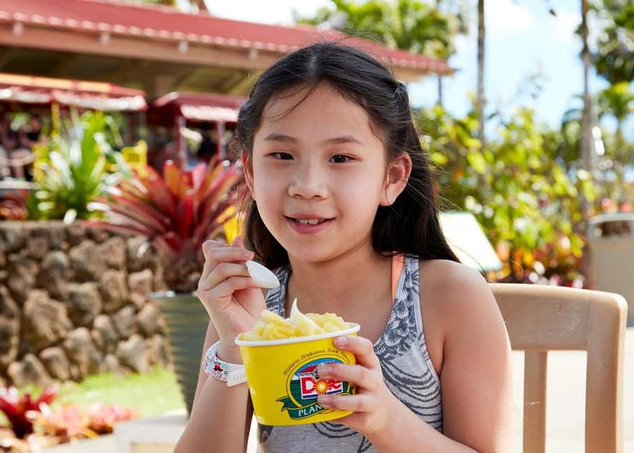 Oahu: Dole Plantation & Haleiwa Express Deluxe Tour - Price and value: what $100 buys you (and what it doesn’t)