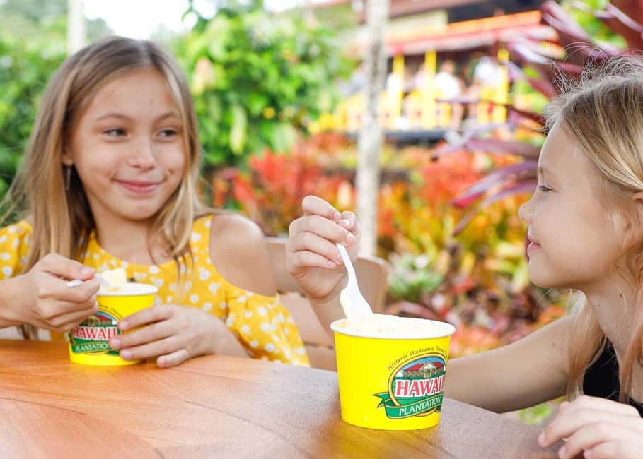 Oahu: Dole Plantation & Haleiwa Express Deluxe Tour - Pickup from Waikiki: timing and what a long day really means