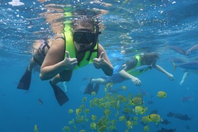 Oahu Dolphin and Snorkel Tour with Waikiki Pickup & Lunch - Getting to Waiʻanae Small Boat Harbor without losing your morning