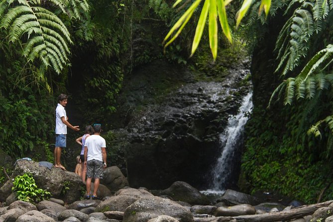 Oahu friendly hiking experience - Key highlights worth planning around