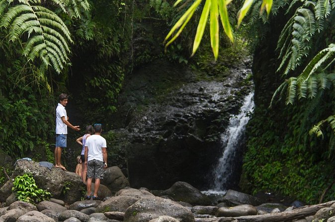 Oahu friendly hiking experience - Koko Crater Botanical Garden: easy legs, real plant variety
