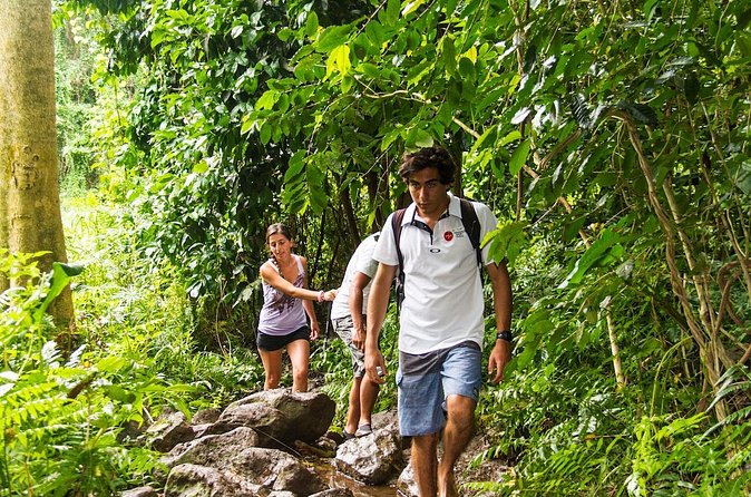 Oahu friendly hiking experience - Maunawili Falls: another waterfall stop with a calmer rhythm