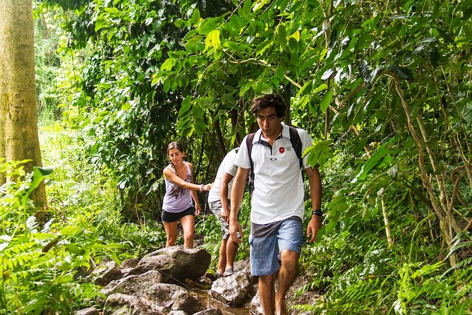 Oahu friendly hiking experience - Manoa Falls: classic waterfall hike energy (and the part to plan)