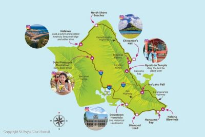 Oahu Grand Circle Island and Haleiwa Tour: 9-Hr Deluxe Experience - Pickup at dawn: choose your spot and plan for window time