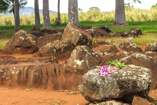Oahu Grand Circle Island Audio Driving Tour - Kahuku Farms, shrimp trucks, and the North Shore snack rhythm