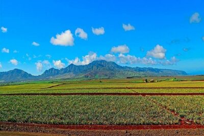 Oahu Grand Circle Island Tour Departing from Waikiki - Diamond Head lookout: what you do see and what you don’t
