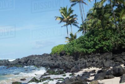 OAHU GRAND CIRCLE Waimea Waterfall, Turtle Beach, North Shore. - Waimea Valley: Waterfall Hike Time You’ll Remember