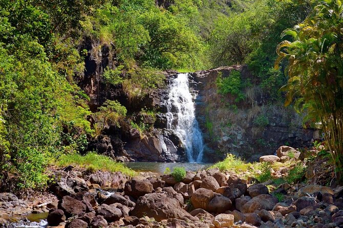 OAHU GRAND CIRCLE Waimea Waterfall, Turtle Beach, North Shore. - Haleiwa Food Trucks and the Coastal Drive Back