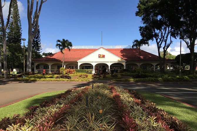 Oahu: Grand Tour Around Island 16 Locations plus Snorkeling - Diamond Head to Halona: the morning photo block
