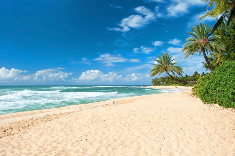 Oahu: Guided Tour of North Shore and Waimea Botanical Garden - Key Highlights Worth Marking on Your Map