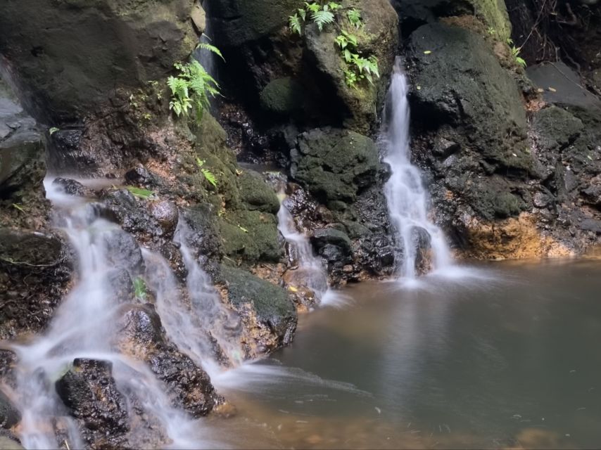 Oahu: Half-Day Sunrise Semi-private Tour from Waikiki - Value at $100: Is This Worth It for a 5-Hour Morning?