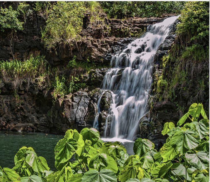Oahu Hidden Gems & Waimea Botanical Garden/Waterfall tour - The Waterfall Swim: Lifeguards, Life Jackets, and Wet Shoes