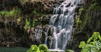 Oahu Hidden Gems & Waimea Botanical Garden/Waterfall tour - Waimea Valley Botanical Gardens: Where the Day Gets Real