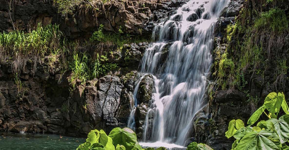 Oahu Hidden Gems & Waimea Botanical Garden/Waterfall tour - Waimea Valley Botanical Gardens: Where the Day Gets Real