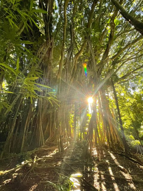 Oahu: Hidden Hawaii Waterfall Hike and Beach Tour - Key highlights that shape your day