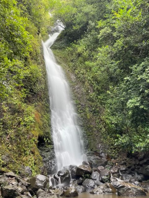 Oahu: Hidden Hawaii Waterfall Hike and Beach Tour - The viewpoint reset at Nuuanu Pali: that 1200-foot perspective