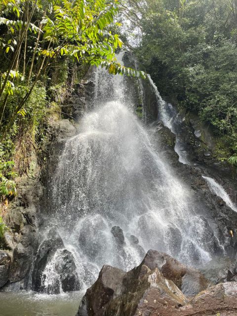 Oahu: Hidden Hawaii Waterfall Hike and Beach Tour - Who this hike-and-beach combo is best for