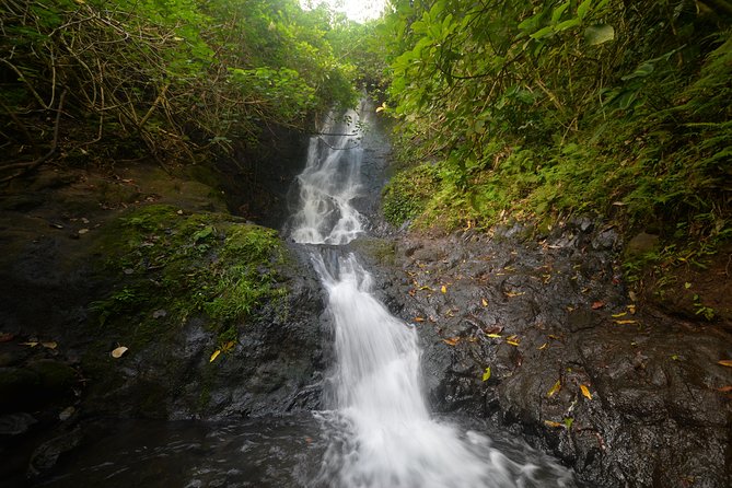 Oahu Hidden Waterfall Hike: A Tropical Paradise Adventure - Key things to know before you go