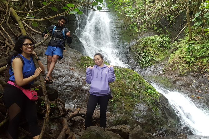 Oahu Hidden Waterfall Hike: A Tropical Paradise Adventure - Why Likeke Falls Works So Well for a 3-Hour Oahu Break