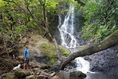 Oahu Hidden Waterfall Hike: A Tropical Paradise Adventure - The Drive From Honolulu: Getting Oriented Before You Hit the Trail