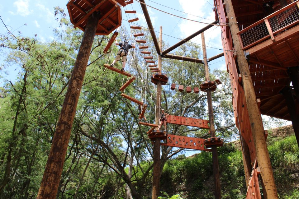 Oahu: High Ropes Adventure, Climbing, & Rappel Experience - Key Highlights That Matter