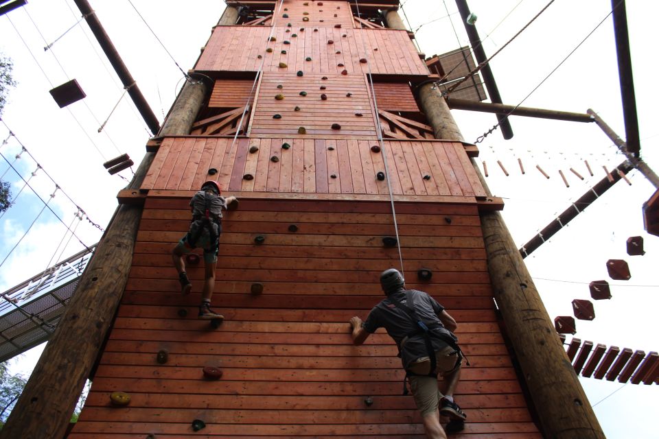 Oahu: High Ropes Adventure, Climbing, & Rappel Experience - Adventure Tower and Abseil: The Point Where Everything Feels Real