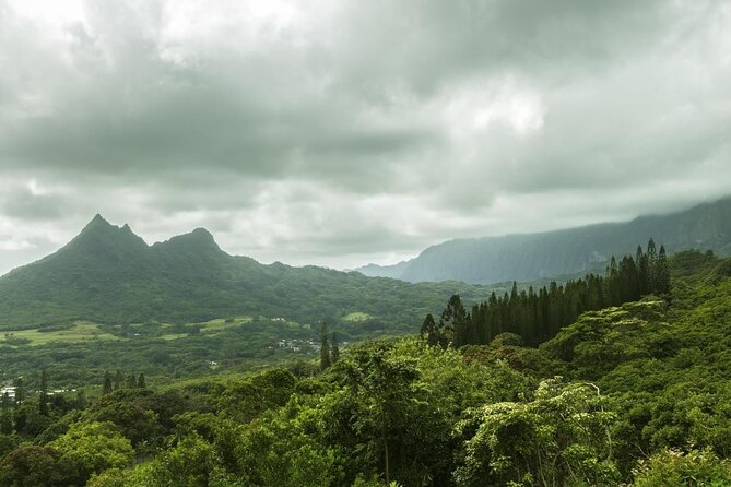 O‘ahu Highlights Private Guided Tour: Landmarks & Architecture - A fast route through Oʻahu’s most story-heavy landmarks