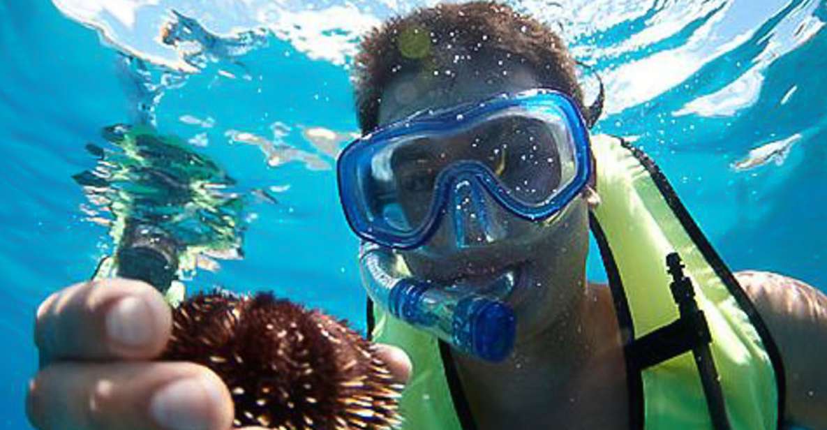 Oahu: Hilton Hawaiian Village Snorkel Tour - Key Things to Know Before You Go
