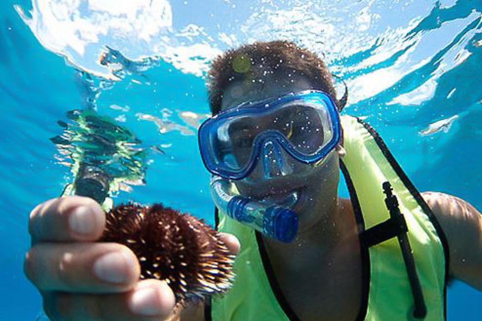 Oahu: Hilton Hawaiian Village Snorkel Tour - Where You Snorkel Off Waikiki (and Why It’s Not Just a Beach Trip)