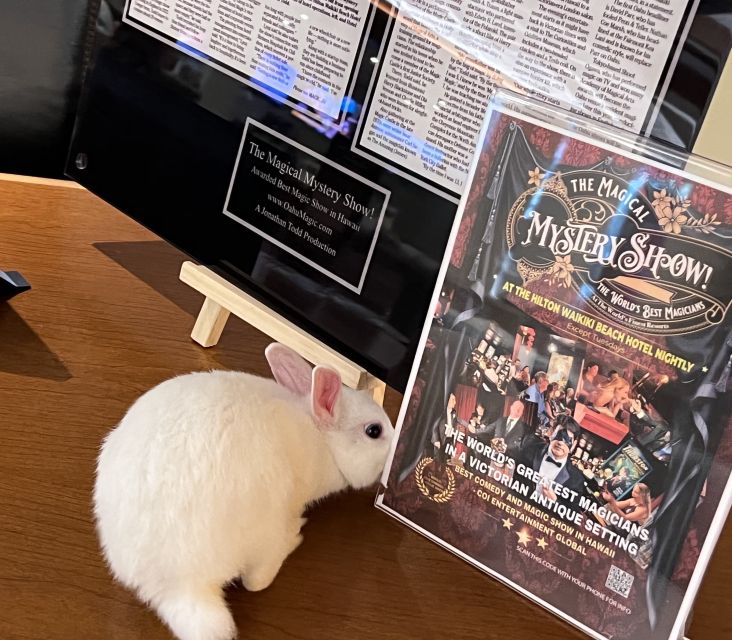 Oahu: Hilton Waikiki Beach Hotel Magical Mystery Show - Logistics that matter: time, location, and what to bring