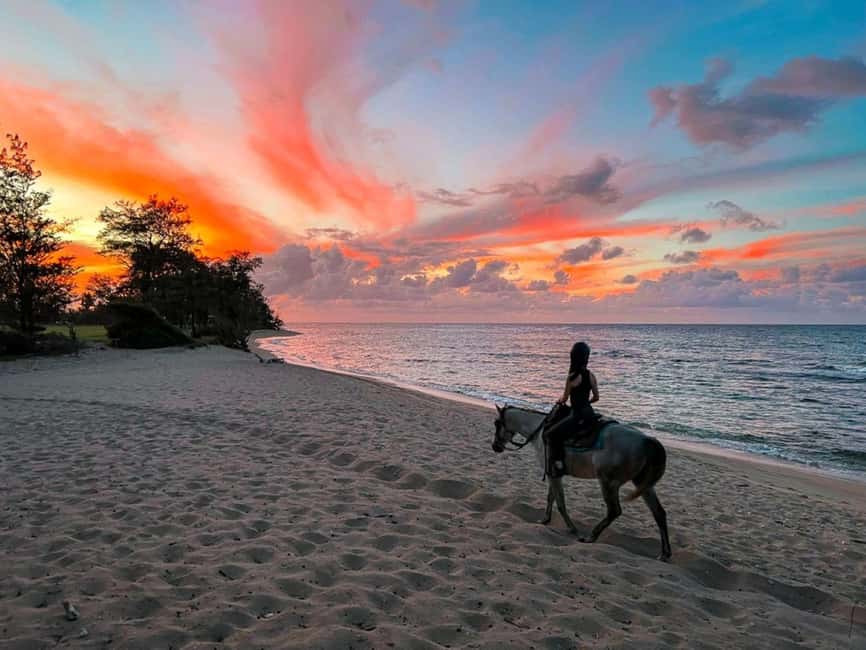 Oahu: Horseback Riding Tour on the North Shore - North Shore views that feel made for a horseback ride