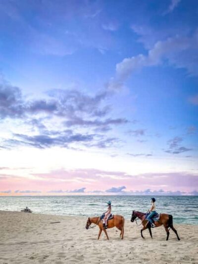 Oahu: Horseback Riding Tour on the North Shore - The ride itself: 60–90 minutes of guided walking and easy control