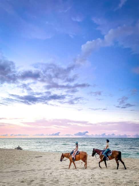 Oahu: Horseback Riding Tour on the North Shore - The ride itself: 60–90 minutes of guided walking and easy control