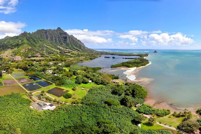 Oahu Island Full-Day Sightseeing Tour - Haleiwa Town Center: Lunch Break and a Real Walk
