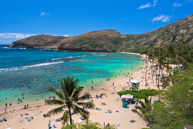 Oahu Island Full-Day Sightseeing Tour - Price and Value: What You’re Really Paying For