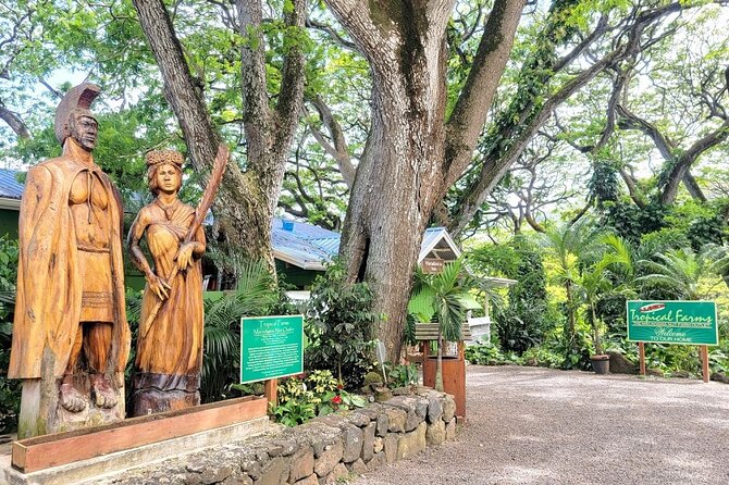 Oahu Island Sightseeing and Food Combo Tour - Key Highlights at a Glance
