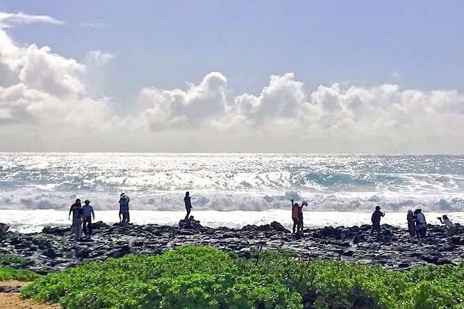 Oahu Island Sightseeing and Food Combo Tour - Tropical Farms Macadamia Outlet: Coffee and Nuts With a Real Shopping Moment