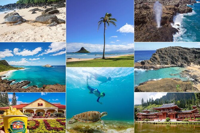 Oahu Island Tour: 13 ppl Max, Snorkel at Turtle Beach + Lunch - Key Things I’d Watch For