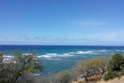 Oahu Island Tour: 13 ppl Max, Snorkel at Turtle Beach + Lunch - Hotel Pickup and the 7:00 AM Start: Make Your Morning Easy