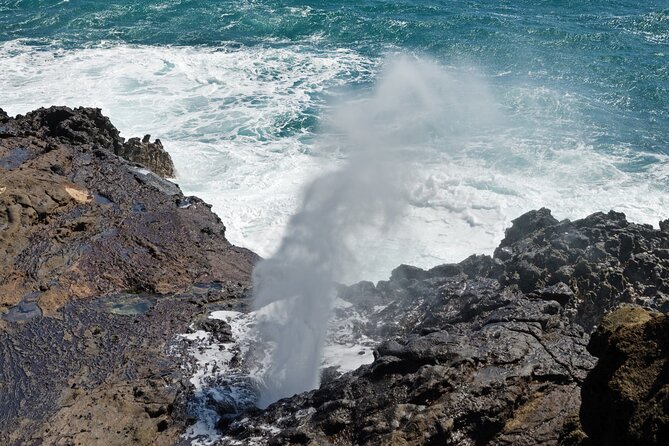 Oahu Island Tour: 13 ppl Max, Snorkel at Turtle Beach + Lunch - Byodo-in Temple and Kualoa Regional Park: A Calm Break in the Middle of the Speed Tour