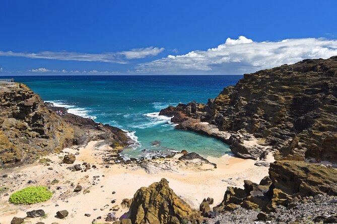 Oahu Island Tour: 13 ppl Max, Snorkel at Turtle Beach + Lunch - Turtle Beach Snorkeling: The Best Chance for Sea Turtles (When Conditions Allow)