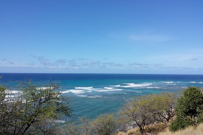 Oahu Island Tour: 13 ppl Max, Snorkel at Turtle Beach + Lunch - Hotel Pickup and the 7:00 AM Start: Make Your Morning Easy