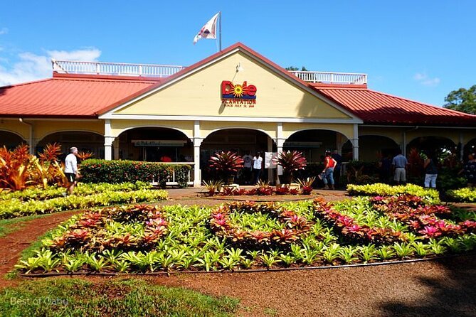 Oahu Island Tour, Dole plantation ,Northshore,VIP,PRIVATE - Island-Loop VIP Setup: Why This Feels Like a Real Private Day