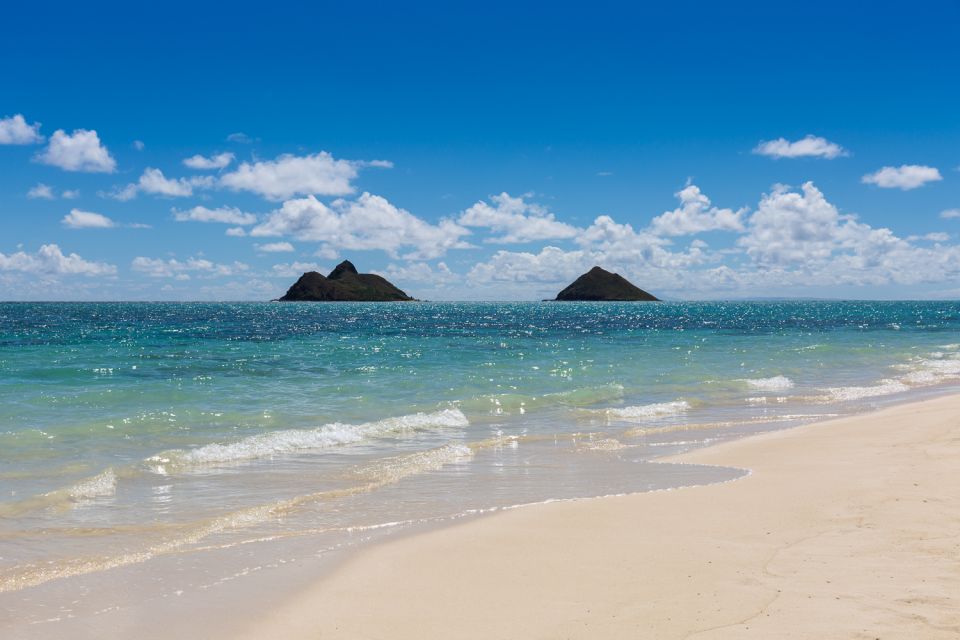 Oahu: Kailua Guided Kayak Excursion with Lunch - Kayak Time for Green Sea Turtles: How the Wildlife Part Actually Works